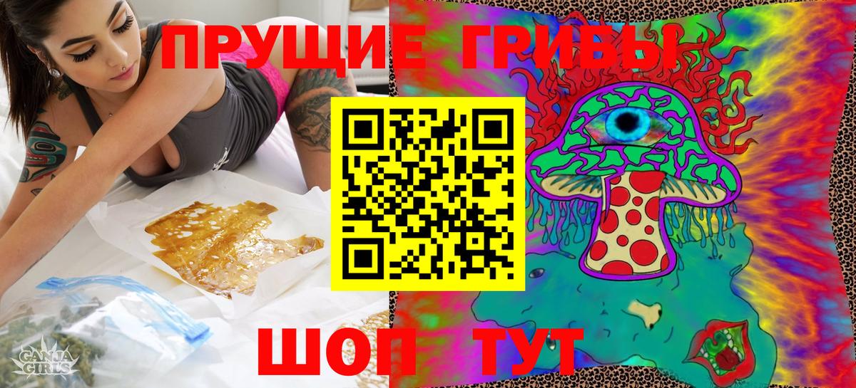 Галлюциногенные грибы Psilocybe Кудрово