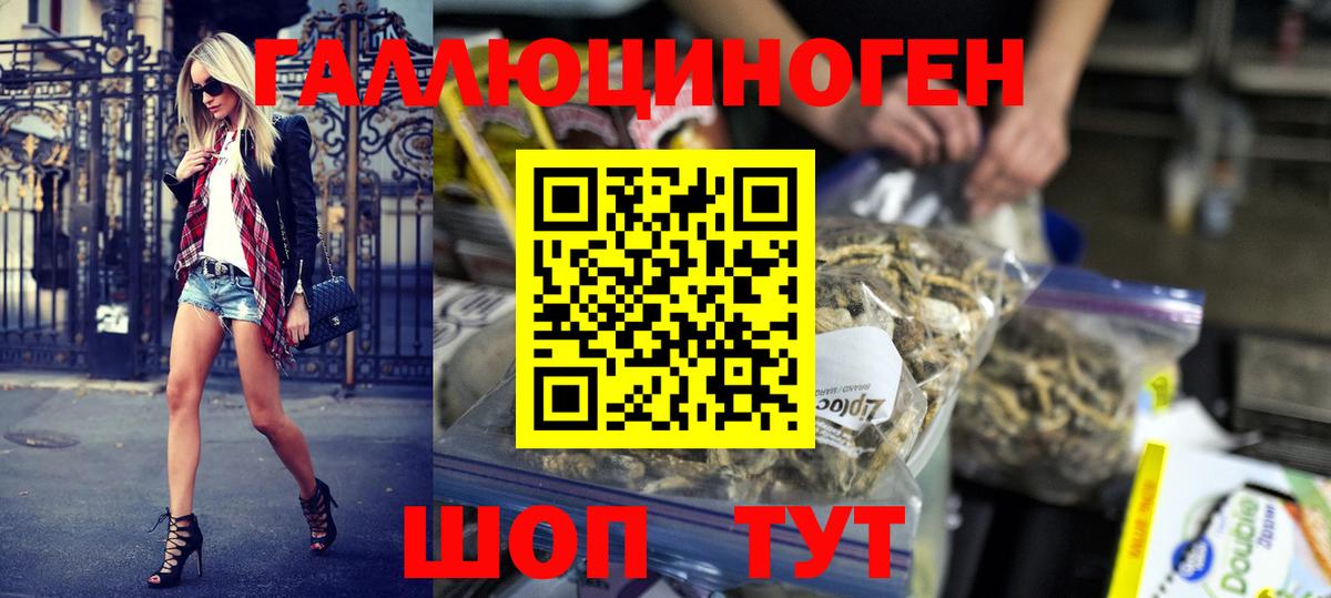 Галлюциногенные грибы Cubensis  Вход с VPN  Кудрово  Псилоцибиновые грибы Psilocybe 