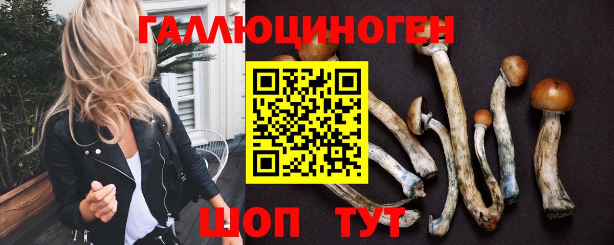 ГЕРОИН Кудрово
