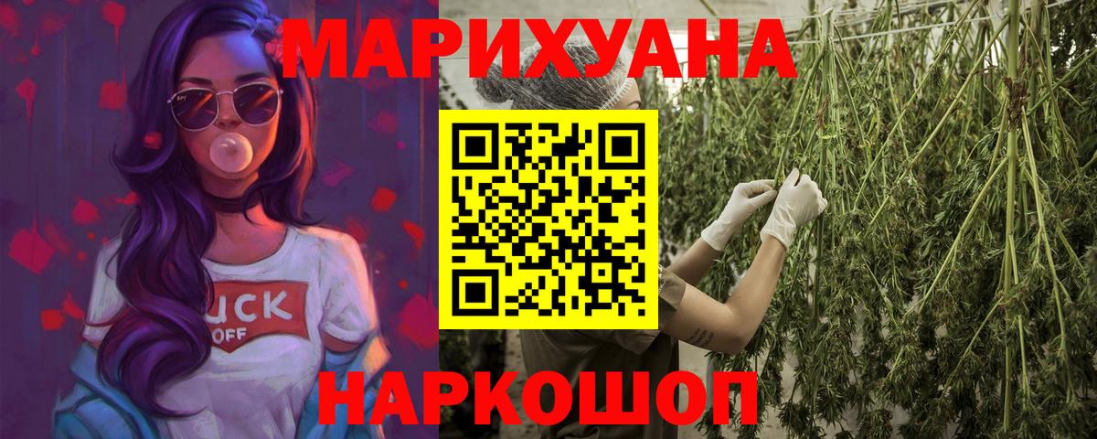 Каннабис план Кудрово
